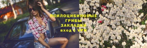 спиды Карталы
