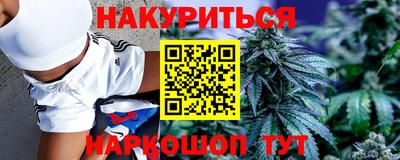 дмт Аша
