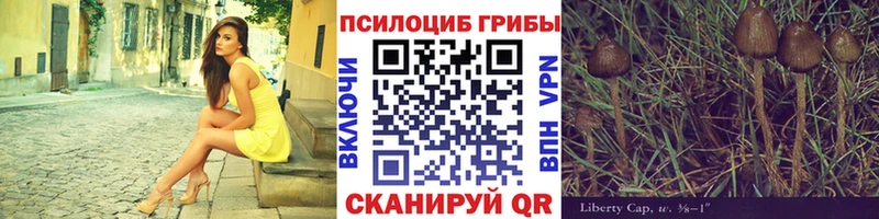 Галлюциногенные грибы MAGIC MUSHROOMS Пермь