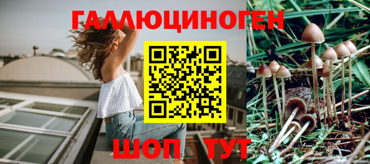 Галлюциногенные грибы Psilocybe  Галлюциногенные грибы Psilocybine cubensis  купить наркотики цена  Пермь  Вход с VPN 